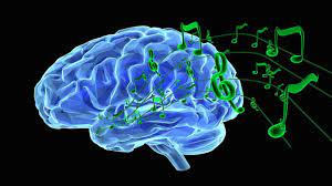 cerveau musique